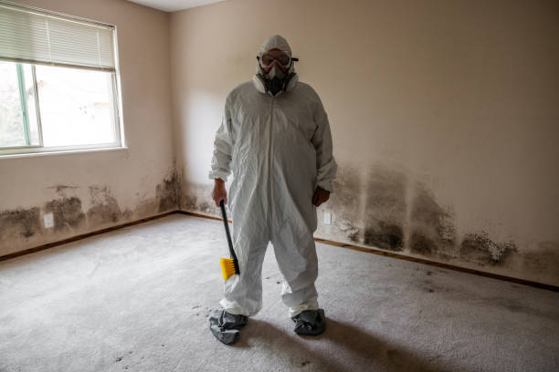 Best Mold Odor Removal Services  in Louisville, TN